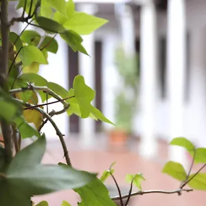 Apartmán Adanar-las Columnas, Granada